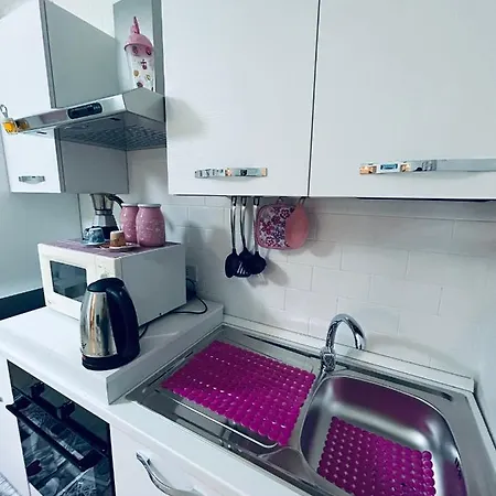 Rose's House Apartment